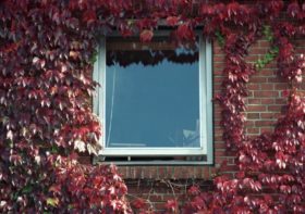Schwingfenster in der Anwendung